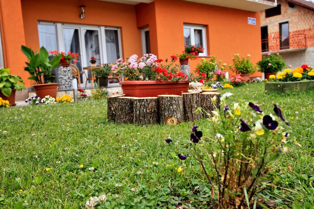 Vila Julija - Apartment & Rooms Otočac Dış mekan fotoğraf