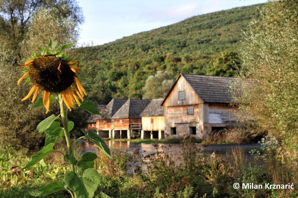 Vila Julija - Apartment & Rooms Otočac Dış mekan fotoğraf